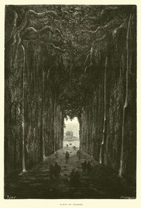 Gorge de Tunkini - Edouard Riou